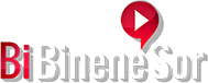 Bibinenesor